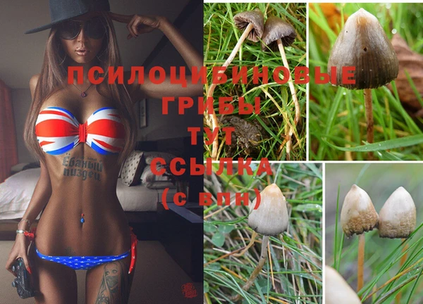 кокаин премиум Верхний Тагил
