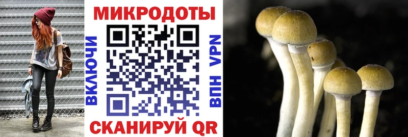 дарнет шоп  Горнозаводск  Галлюциногенные грибы MAGIC MUSHROOMS 